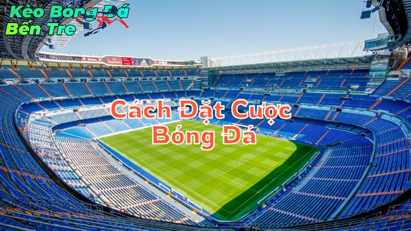 Cách Đặt Cược Bóng Đá Tại Bến Tre