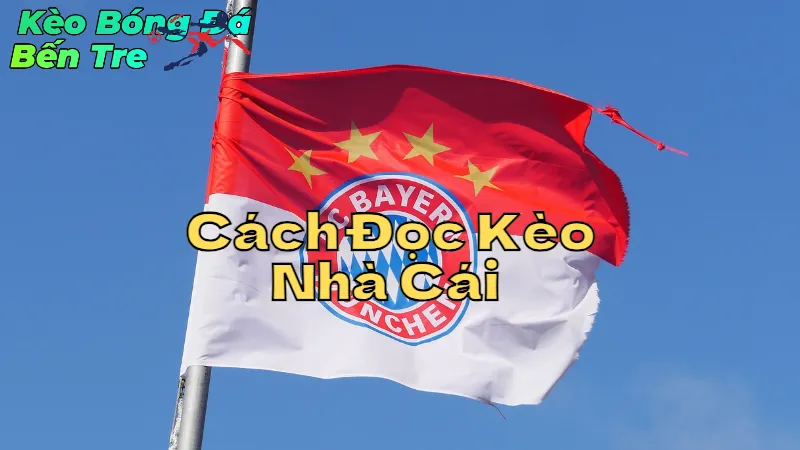 Cách Đọc Kèo Nhà Cái Tại Bến Tre