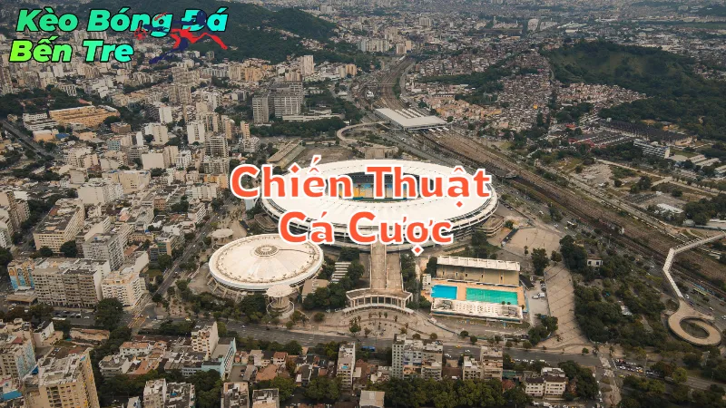 Chiến Thuật Cá Cược Tỷ Lệ Kèo Hiệu Quả Tại Bến Tre