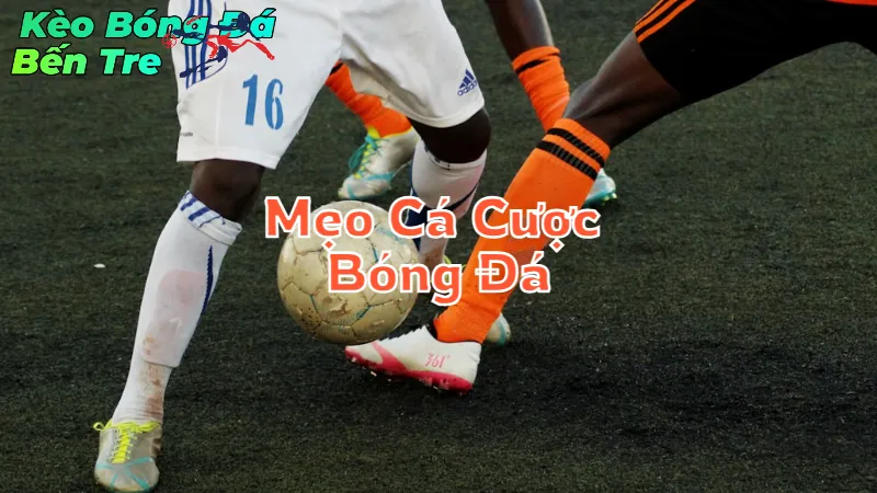 Mẹo Cá Cược Bóng Đá Online Uy Tín Tại Bến Tre